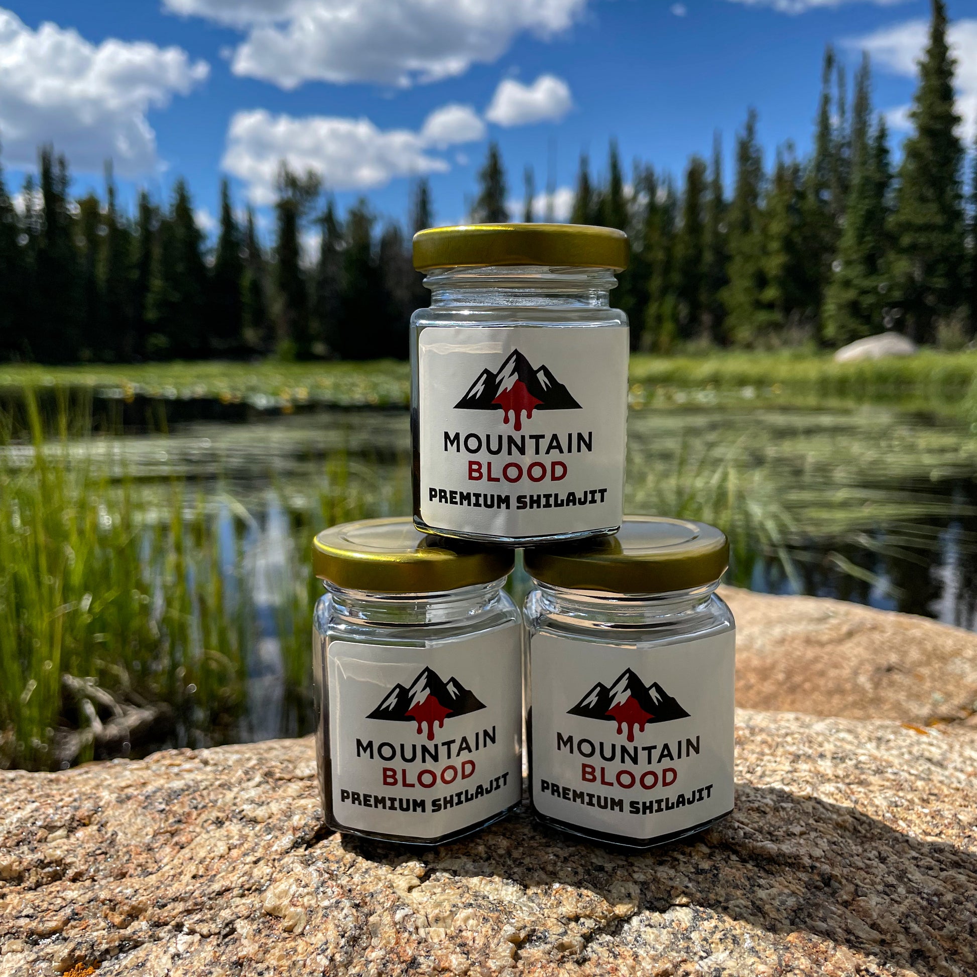 Pure Shilajit Resin 28g